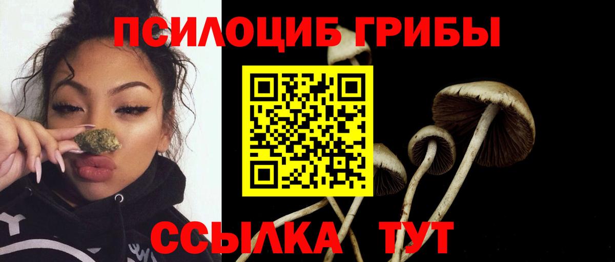 наркота  Псилоцибиновые грибы мухоморы  Вход с VPN  Псилоцибиновые грибы Psilocybine cubensis  Торжок 